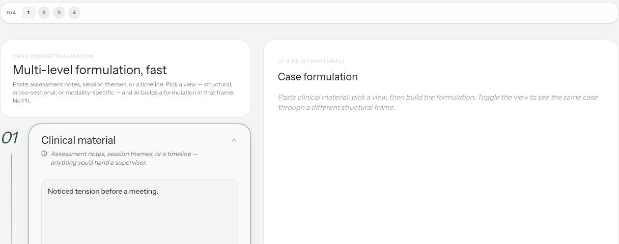 Case Conceptualization illustrative preview