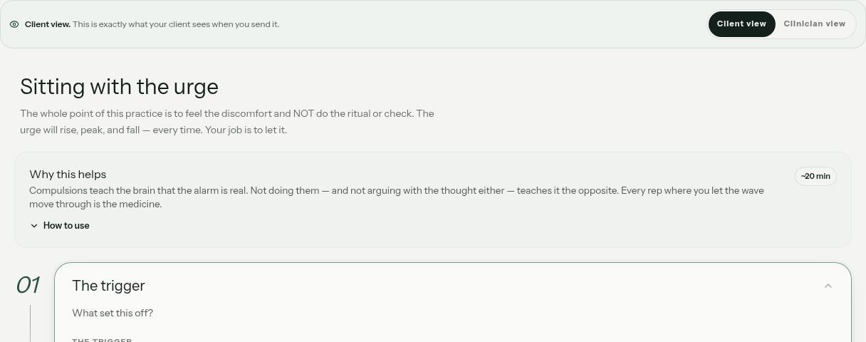 OCD / ERP Tool illustrative preview